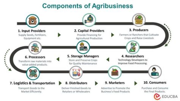 Agribusiness How It Works