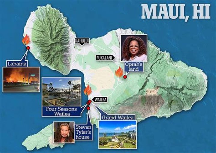 Can I name my dog Maui? – Celebrity