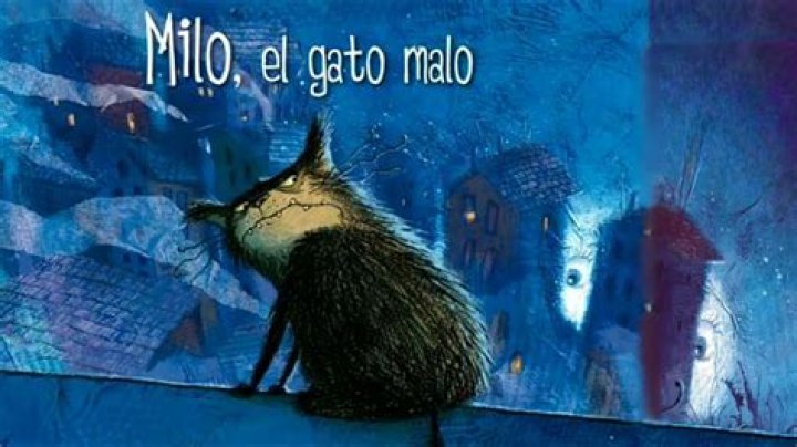 El Milo Gato