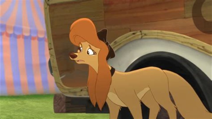 Is Copper a girl in fox and the hound? – Celebrity