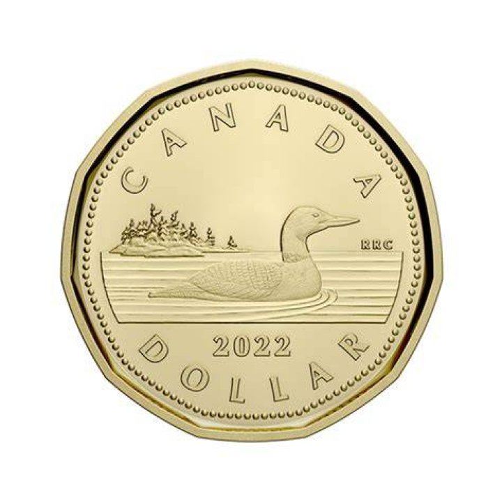 Loonie