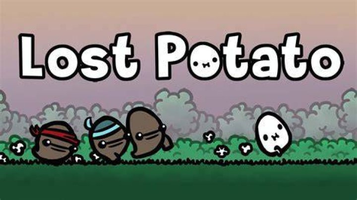 Lost Potato :]