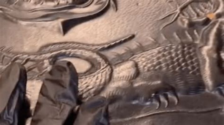 TikToker uncovers shocking historical documentation