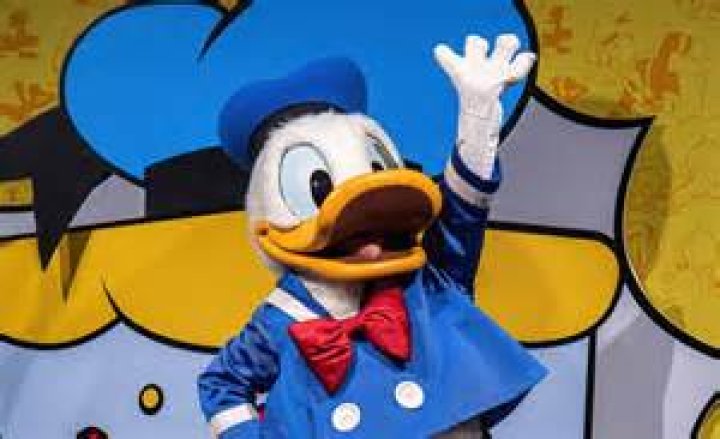 Why does Donald Duck wear pants? – Celebrity